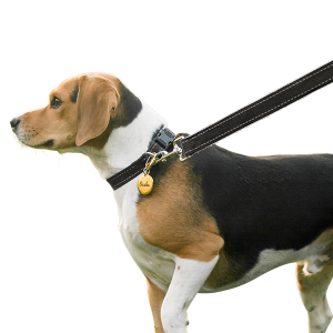 Reflekterande Hundkoppel i Mjuk Bomull Reflekterande Hundkoppel i Mjuk Bomull