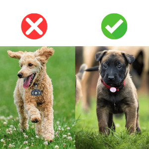 Airtag Hållare för Hundhalsband – Mjuk Silikon Airtag-Hållare till Apple Airtag för Hund & Katt