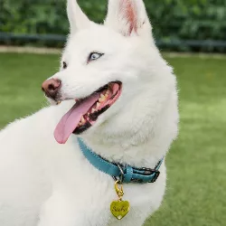 Guld Hund Id-bricka Hjärta Lyxiga