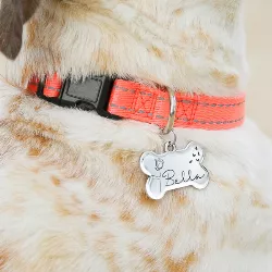 Silver Hund Id-bricka Ben